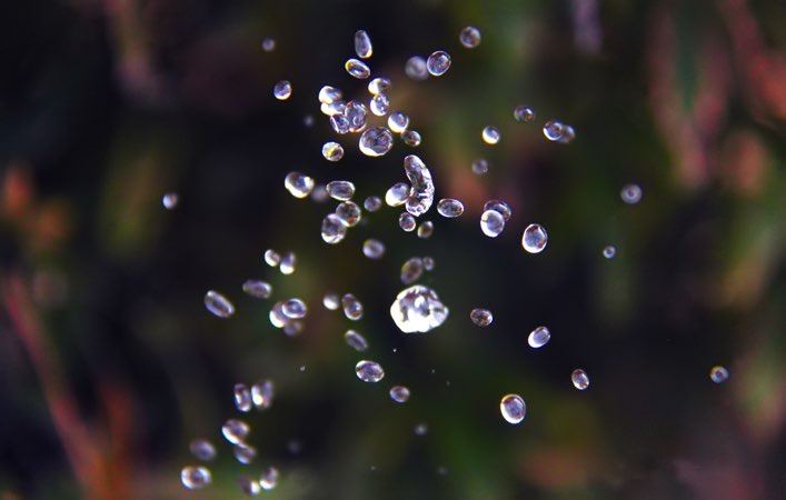 Photographing Water Diamonds