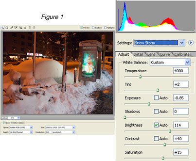 The RAW Image Format